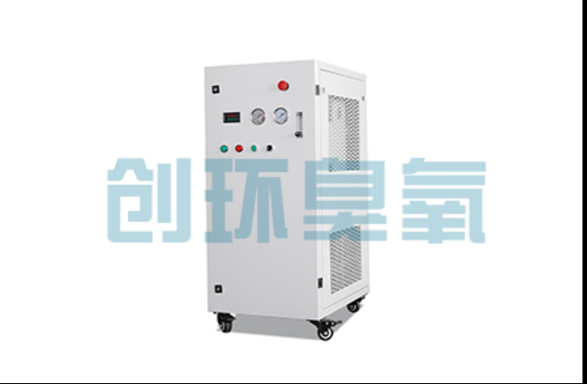 文昌工厂化养鲈必看:2026年臭氧发生器替代传统消毒的最新方案
