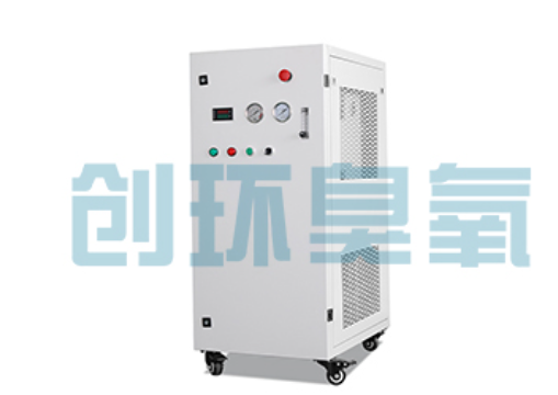 文昌石斑鱼养殖水质调控完整指南:臭氧发生器配置与操作步骤