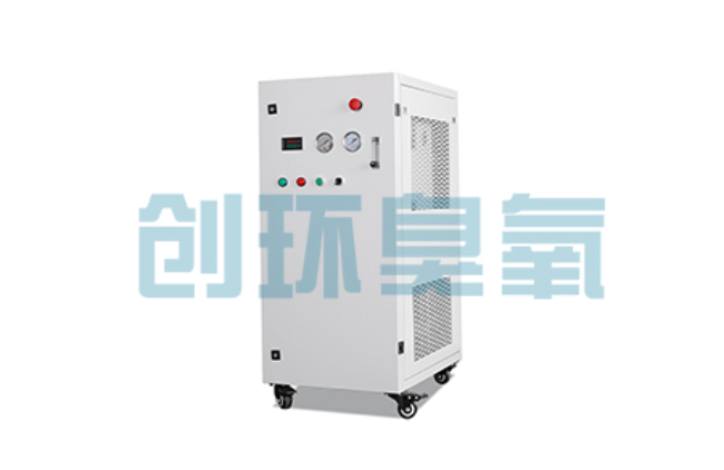 文昌比传统换水更高效?臭氧发生器在石斑鱼养殖中的水质净化原理解析